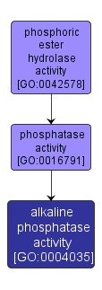 GO:0004035 - alkaline phosphatase activity (interactive image map)