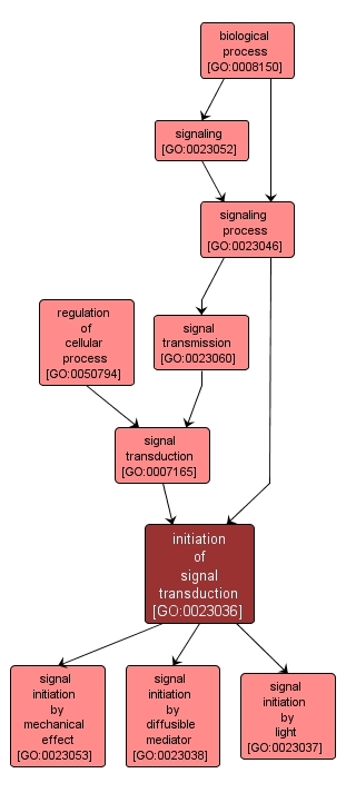 GO:0023036 - initiation of signal transduction (interactive image map)