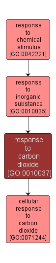 GO:0010037 - response to carbon dioxide (interactive image map)