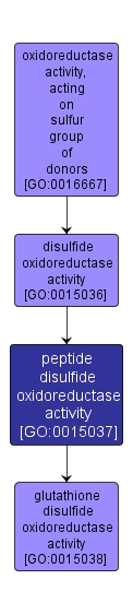 GO:0015037 - peptide disulfide oxidoreductase activity (interactive image map)