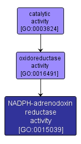 GO:0015039 - NADPH-adrenodoxin reductase activity (interactive image map)
