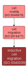 GO:0040039 - inductive cell migration (interactive image map)