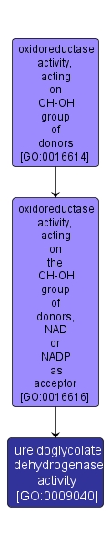 GO:0009040 - ureidoglycolate dehydrogenase activity (interactive image map)