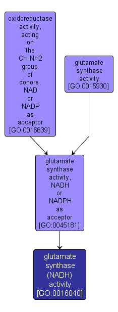 GO:0016040 - glutamate synthase (NADH) activity (interactive image map)