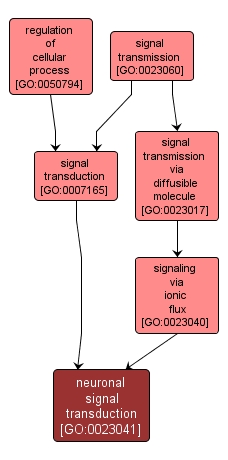GO:0023041 - neuronal signal transduction (interactive image map)