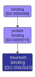 GO:0042043 - neurexin binding (interactive image map)