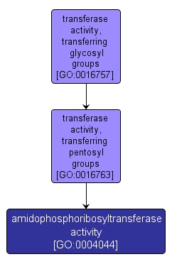 GO:0004044 - amidophosphoribosyltransferase activity (interactive image map)