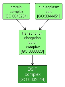 GO:0032044 - DSIF complex (interactive image map)