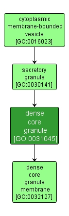 GO:0031045 - dense core granule (interactive image map)