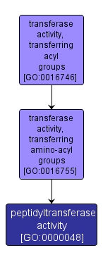 GO:0000048 - peptidyltransferase activity (interactive image map)