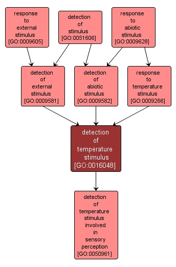 GO:0016048 - detection of temperature stimulus (interactive image map)