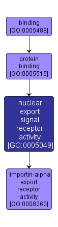 GO:0005049 - nuclear export signal receptor activity (interactive image map)