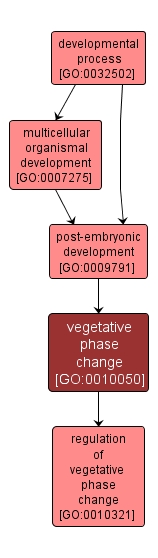 GO:0010050 - vegetative phase change (interactive image map)