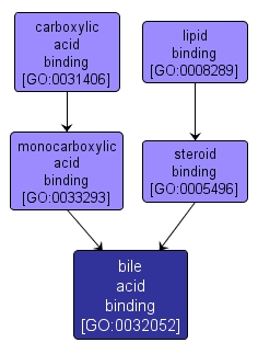 GO:0032052 - bile acid binding (interactive image map)