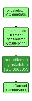 GO:0060053 - neurofilament cytoskeleton (interactive image map)