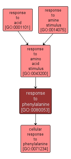 GO:0080053 - response to phenylalanine (interactive image map)