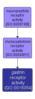 GO:0015054 - gastrin receptor activity (interactive image map)