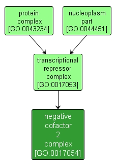 GO:0017054 - negative cofactor 2 complex (interactive image map)