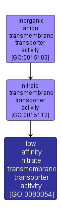 GO:0080054 - low affinity nitrate transmembrane transporter activity (interactive image map)