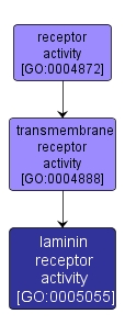 GO:0005055 - laminin receptor activity (interactive image map)