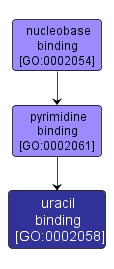 GO:0002058 - uracil binding (interactive image map)