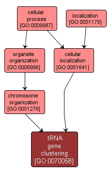 GO:0070058 - tRNA gene clustering (interactive image map)