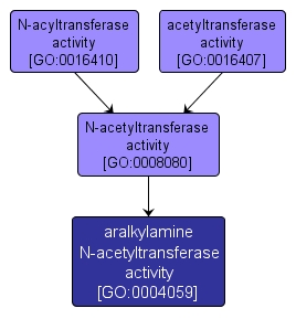 GO:0004059 - aralkylamine N-acetyltransferase activity (interactive image map)