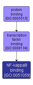 GO:0051059 - NF-kappaB binding (interactive image map)