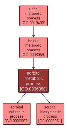 GO:0006060 - sorbitol metabolic process (interactive image map)