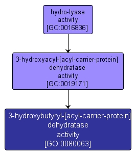 GO:0080063 - 3-hydroxybutyryl-[acyl-carrier-protein] dehydratase activity (interactive image map)
