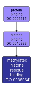 GO:0035064 - methylated histone residue binding (interactive image map)
