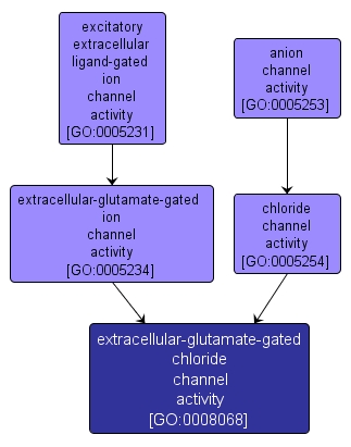 GO:0008068 - extracellular-glutamate-gated chloride channel activity (interactive image map)