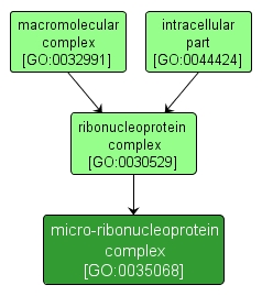 GO:0035068 - micro-ribonucleoprotein complex (interactive image map)