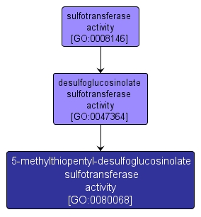 GO:0080068 - 5-methylthiopentyl-desulfoglucosinolate sulfotransferase activity (interactive image map)