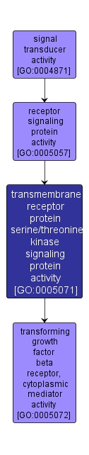 GO:0005071 - transmembrane receptor protein serine/threonine kinase signaling protein activity (interactive image map)