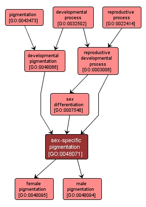 GO:0048071 - sex-specific pigmentation (interactive image map)