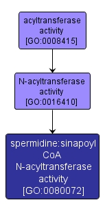 GO:0080072 - spermidine:sinapoyl CoA N-acyltransferase activity (interactive image map)