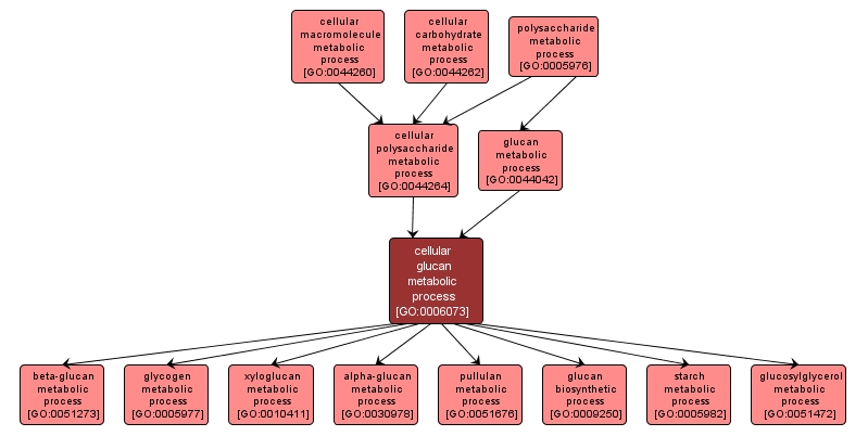 GO:0006073 - cellular glucan metabolic process (interactive image map)