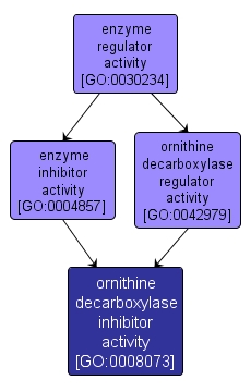 GO:0008073 - ornithine decarboxylase inhibitor activity (interactive image map)