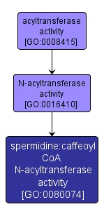 GO:0080074 - spermidine:caffeoyl CoA N-acyltransferase activity (interactive image map)