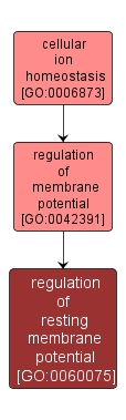 GO:0060075 - regulation of resting membrane potential (interactive image map)