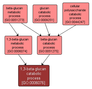 GO:0006076 - 1,3-beta-glucan catabolic process (interactive image map)