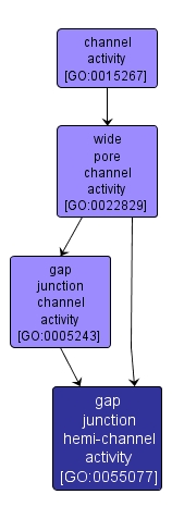 GO:0055077 - gap junction hemi-channel activity (interactive image map)