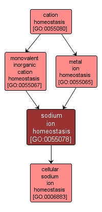GO:0055078 - sodium ion homeostasis (interactive image map)