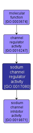 GO:0017080 - sodium channel regulator activity (interactive image map)