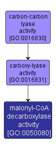 GO:0050080 - malonyl-CoA decarboxylase activity (interactive image map)