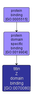 GO:0070080 - titin Z domain binding (interactive image map)