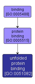 GO:0051082 - unfolded protein binding (interactive image map)