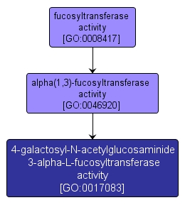 GO:0017083 - 4-galactosyl-N-acetylglucosaminide 3-alpha-L-fucosyltransferase activity (interactive image map)