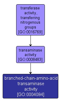 GO:0004084 - branched-chain-amino-acid transaminase activity (interactive image map)